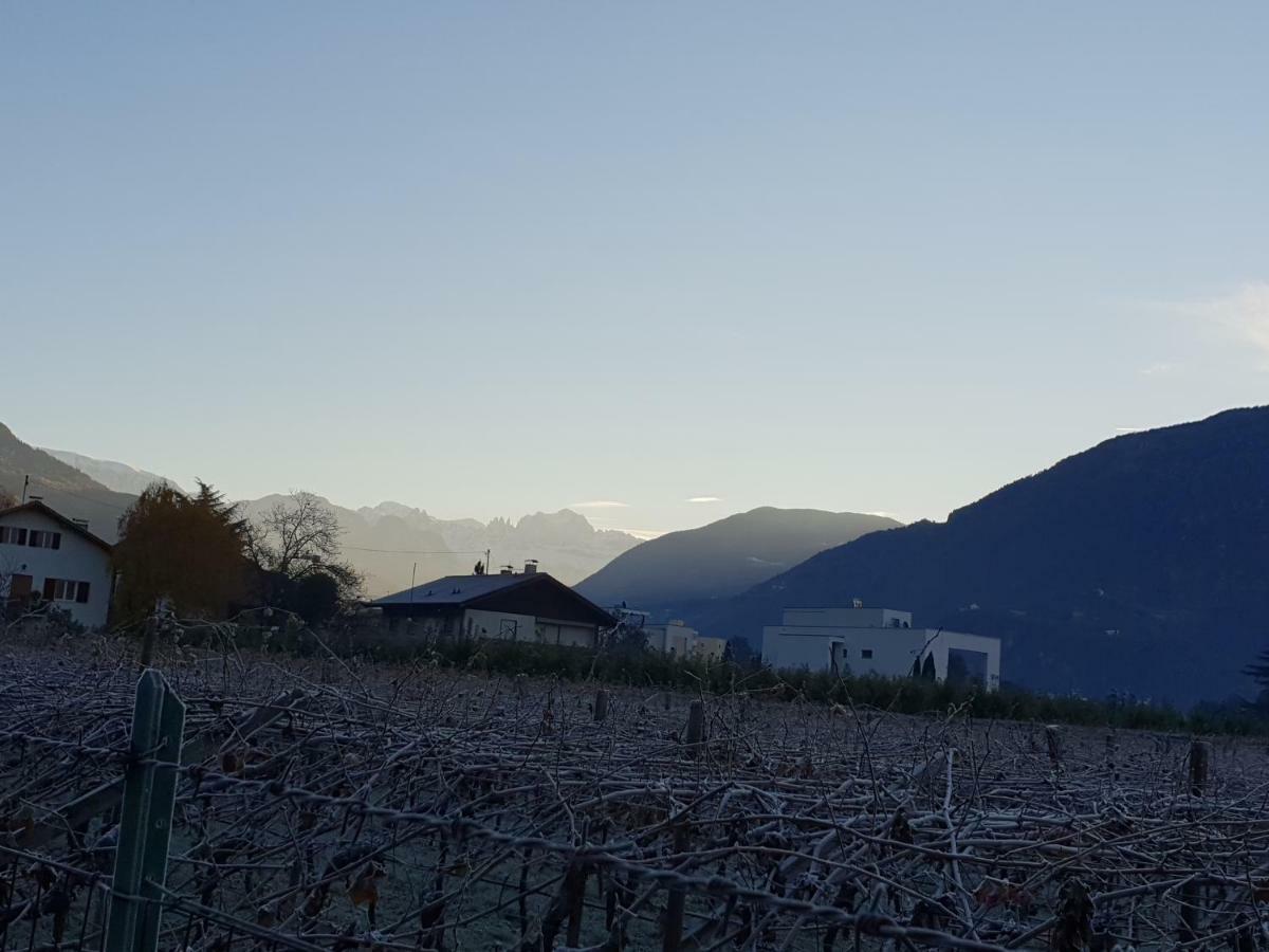 Domus Rose Rooms Bozen Exterior foto