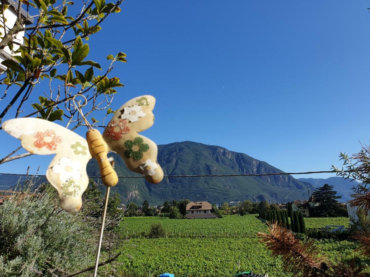 Domus Rose Rooms Bozen Exterior foto